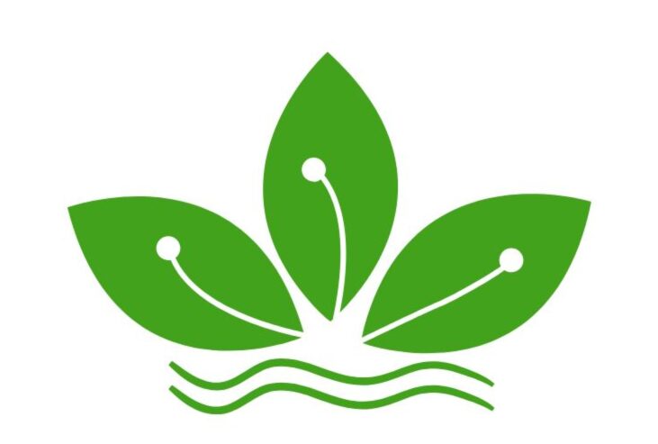 Fresh Choice World